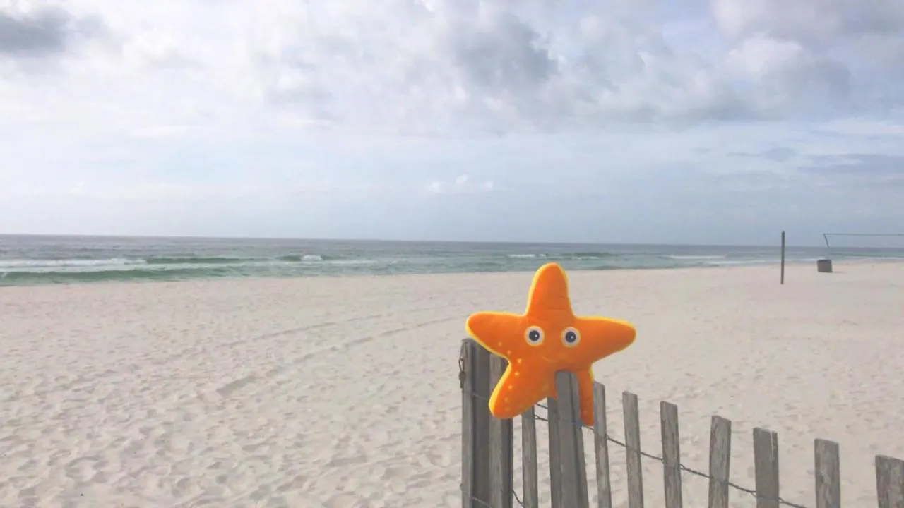 Σπίτι διακοπών Edgewater 2-0808 - 'Shore Beats Work' Panama City Beach